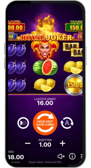 Basis Spin Voorbeeld